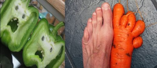 Alimentos com formatos estranhos (Fonte: hypescience.com)