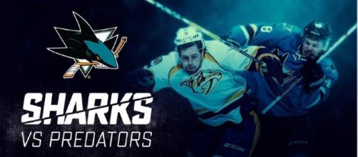 Sabre teeth and razor jaws go head to head at the Shark Tank - sjsharks.com
