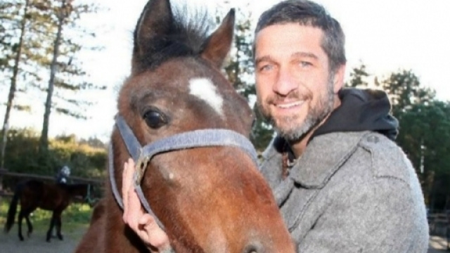 Cavallo preso a frustate, interviene Striscia la Notizia.