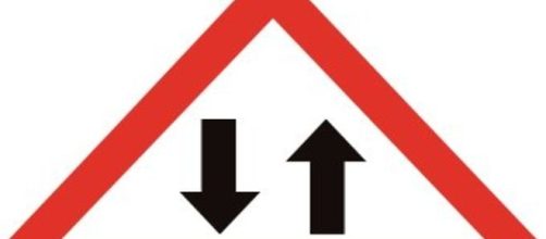 &ldquo;Hola. Me llamo Double Dude tengo 25 a&ntilde;os y vivo con 2 penes de 25 cent&iacute;metros totalmente operativos&rdquo;.