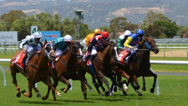 Dans une arriv&eacute;e disput&eacute;e, la cravache intervient souvent...