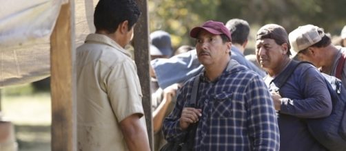 American Crime Season 3 Review: | IndieWire - indiewire.com