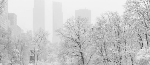 Snow. Photo credit: Roman Kruglove