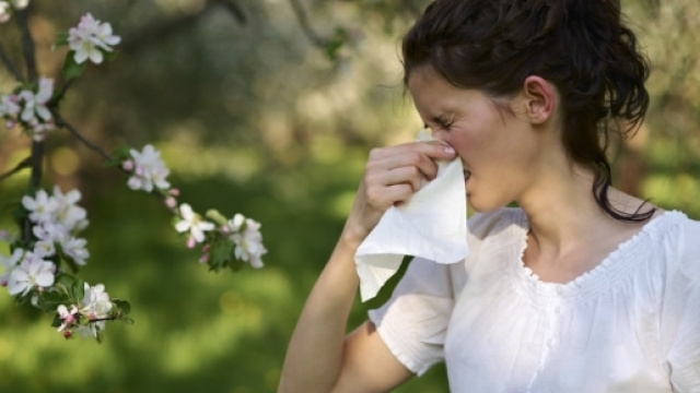 Arrivano le allergie di primavera