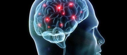 The human brain - CBS News - cbsnews.com