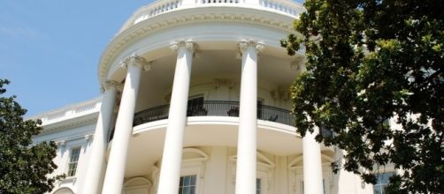 Trump tax returns published by Rachel Maddow were not done so illegally, the host claims / Hannah Rosen, Flickr CC BY-SA 2.0