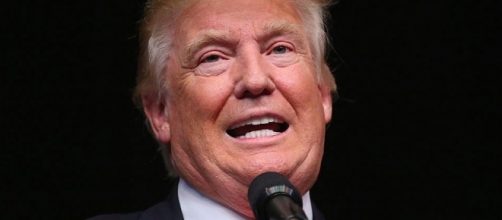 Trump taxes released by MSNBC's Rachel Maddow ... - businessinsider.com