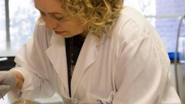 Sabina Berretta direttrice di Harvard | Tito di Persio