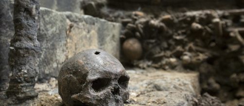 Build houses with bones ... - dailymail.co.uk