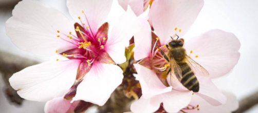 Salud - Gafas de sol y filtros en el aire acondicionado, consejos ... - diariodenavarra.es