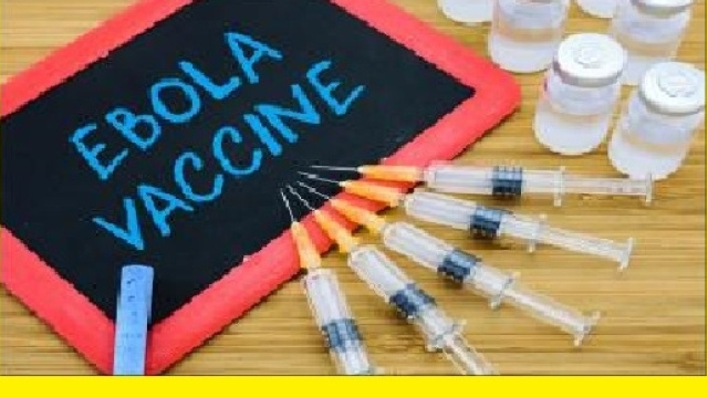 Arrivano i primi vaccini anti-ebola nella fase di sperimentazione clinica.