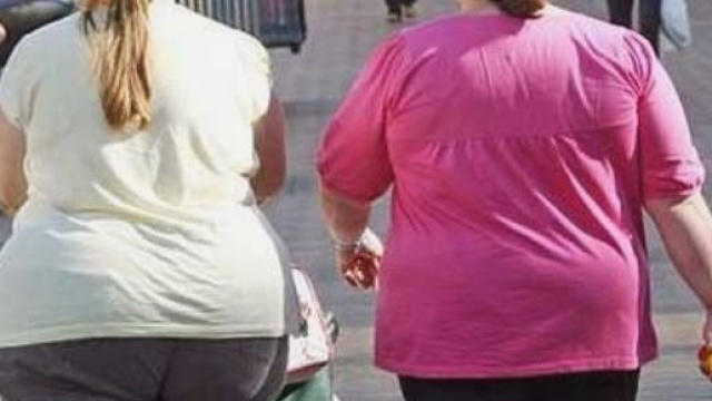 Probiotici e prebiotici aiutano a dimagrire e a controllare l'appetito.