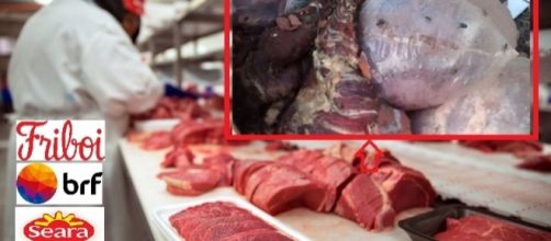 Conhe&ccedil;a a Opera&ccedil;&atilde;o "Carne Fraca" da PF