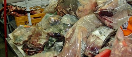 toneladas de produtos estragados