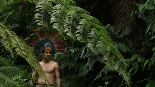 Amerindiano / Foresta pluviale / Bolivia