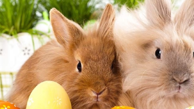 &egrave; Pasqua? E perch&egrave; cambia sempre la data? - marcopolo.tv