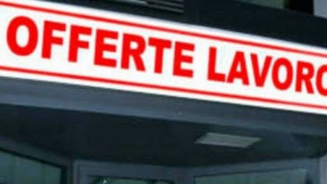 Perugia Offerte di lavoro per i giovani: si cercano collaboratori ... - perugiatoday.it