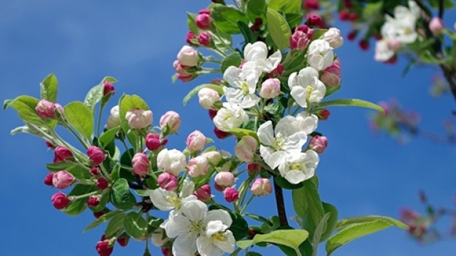 Previsioni del tempo per la stagione primaverile.