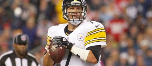 Troy Polamalu Feeds - 247sports.com