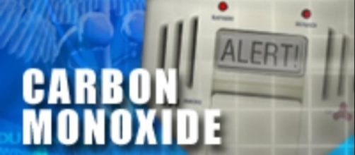 Wonder Cat Saves Family from Carbon Monoxide Poisoning - wndu.com
