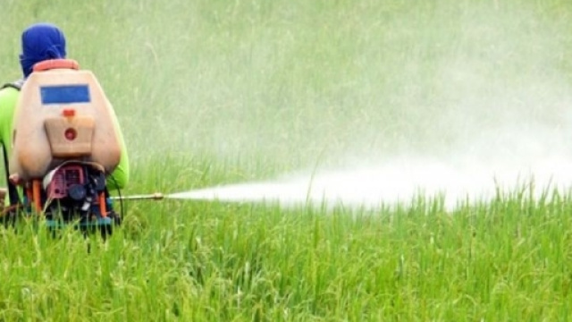 Glifosato: per l'Europa &egrave; sicuro