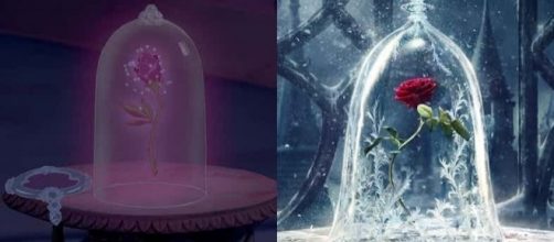A rosa encantada (A Bela e a Fera). Imagens: reprodu&ccedil;&atilde;o Disney