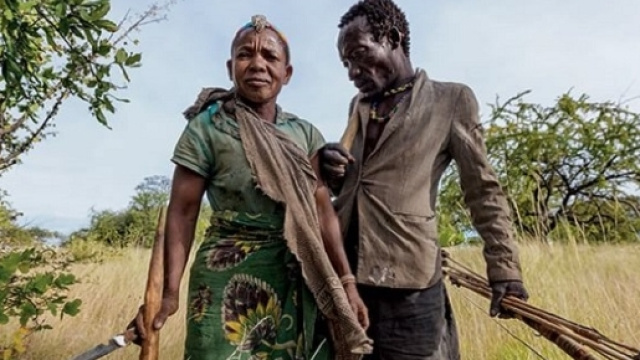 Gli abitanti di villaggi Tsimane, nel cuore dell&rsquo;amazzonia boliviana, hanno le migliori condizioni cardiovascolari al mondo.