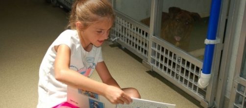 1000+ images about Kids Read To Dogs & Cats In Shelters on ... - pinterest.com