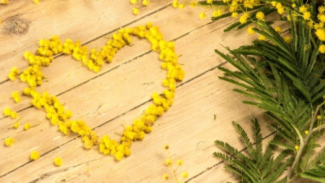 Auguri Festa delle donne 2017!