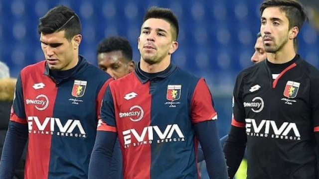 Mario Donatelli parla di Genoa-Bologna e del momento del grifone