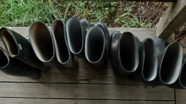 Per le Working Holiday Visa c'&egrave; la possibilit&agrave; di estendere il visto da uno a due anni se si trascorrono 88 giorni lavorando nelle farm.