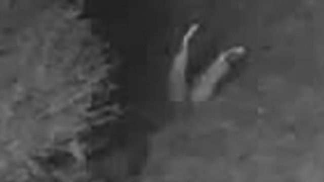 Texas, le gambe che spuntano dal giardino: mistero