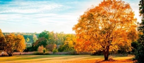 El oto&ntilde;o lleg&oacute; este 20 de marzo
