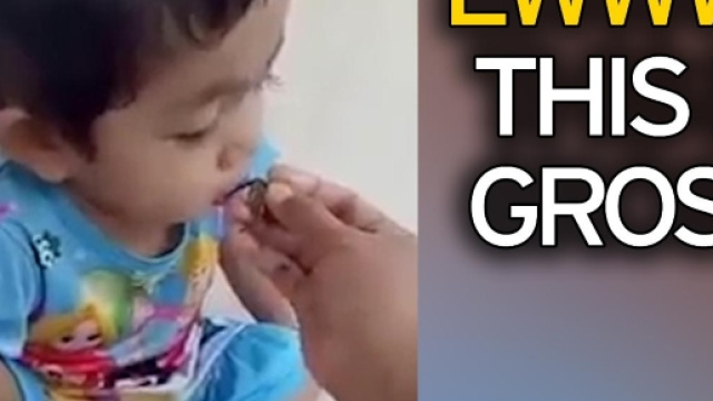 Vermi neri, lo spuntino di una bimba orientale: la clip