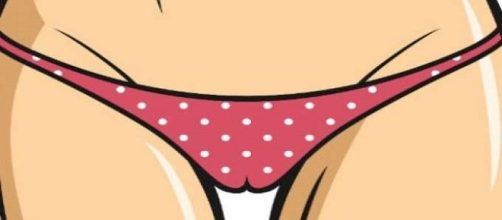 Existem 3 tipos de &oacute;rg&atilde;o sexual feminino