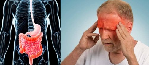 Inflammation is common in humans and animals - mercola.com