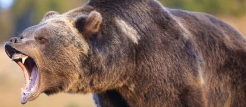 Top 25 survival skills to know & why - Nexus Newsfeed - nexusnewsfeed.com