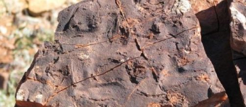 Scientists discover oldest bacteria fossils ... - sciencedaily.com