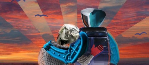 Why Robots Are the Future of Elder Care - good.is