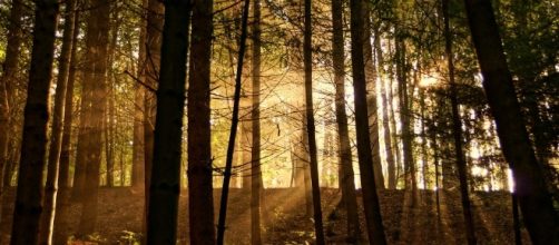 The issue of autism advocacy groups being run by neurotypicals was recently raised in a Facebook group / Stiller Beobachter, Flickr CC BY-SA 2.0