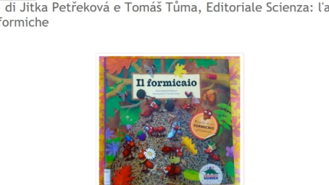 esmpio svolgimento di una lezione simulata
