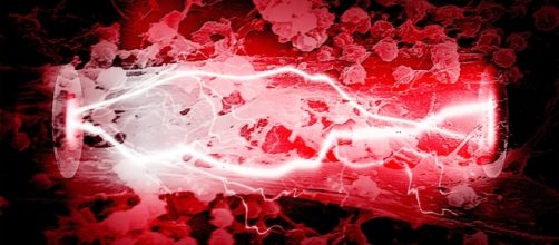 Microbial Fuel Cell on Flipboard - flipboard.com