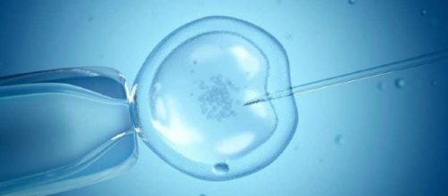 Three-parent babies could soon be common / Photo via A New Era Has Begun. The First Baby With The DNA Of Three Parents ... - wikr.com