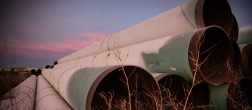 Weasel Zippers | Scouring the bowels of the internet | Weasel Zippers - weaselzippers.us