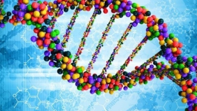 INTRODUZIONE ALL'ANTI EVOLUZIONISMO &ndash; PARTE 1 &ndash; APOLOGETICA E ... - wordpress.com