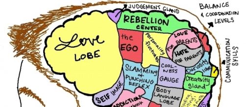 Brain development is linked to human evolution (emaze.com)