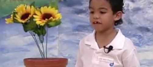 Lu&iacute;s Sales ficou famoso na d&eacute;cada de 90 por amar o Ra&ccedil;a Negra. Reprodu&ccedil;&atilde;o/Youtube.