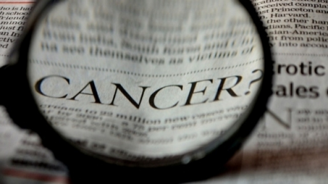 Per la prima volta in Italia diminuiscono i malati di cancro da un anno all'altro - Credits: PDPica - PD