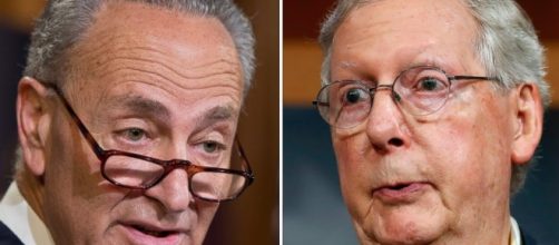 El Gato Weebee (@elgatoweebee) | Twitter - twitter.com