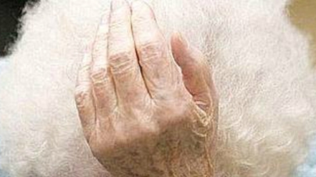 La Nuova Provincia - lanuovaprovincia.it